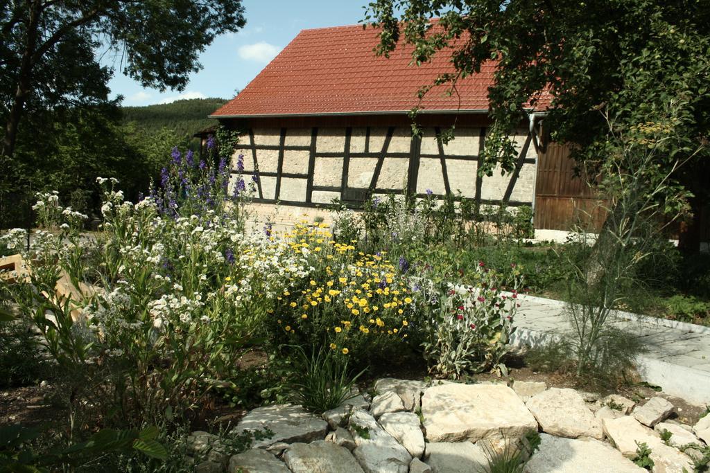 Cafe Landart Im Thueringer Finistere Apartment Plaue  ห้อง รูปภาพ
